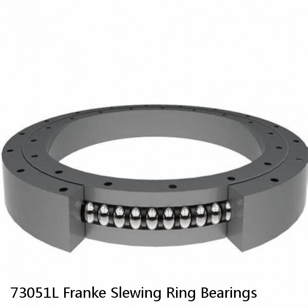 73051L Franke Slewing Ring Bearings