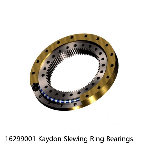 16299001 Kaydon Slewing Ring Bearings