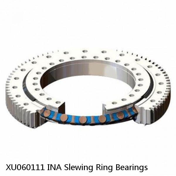 XU060111 INA Slewing Ring Bearings