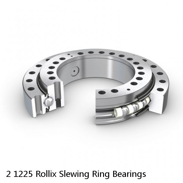 2 1225 Rollix Slewing Ring Bearings