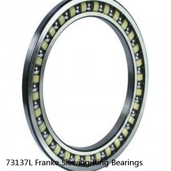 73137L Franke Slewing Ring Bearings