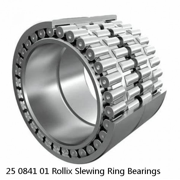 25 0841 01 Rollix Slewing Ring Bearings