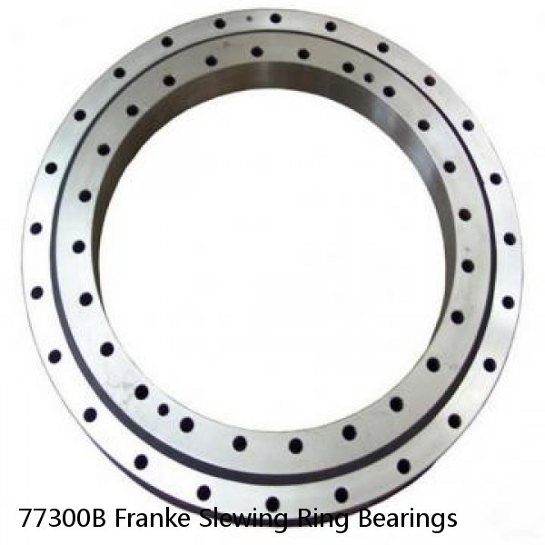 77300B Franke Slewing Ring Bearings