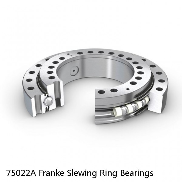 75022A Franke Slewing Ring Bearings