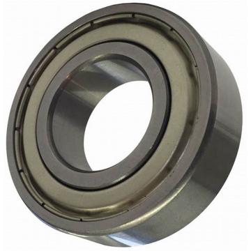 (6005/6005 ZZ/6005 2RS) -SKF NSK NTN NACHI Koyo Timken Original Deep Groove Ball Bearing OEM