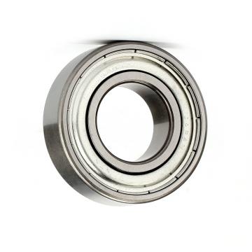 NTN/SKF/NSK 7209 Angular Contact Ball Bearings 7204, 7205, 7206, 7207, 7208 B-Tvp Begap Acd/P4adgc C AC