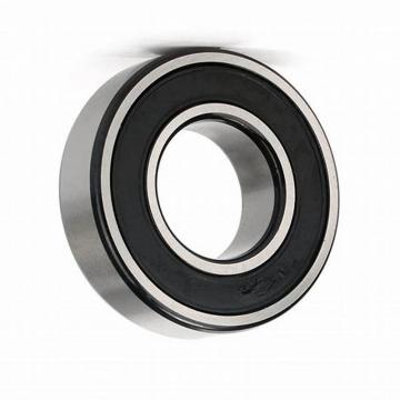 Deep Groove Ball Bearing 6300zz (SKF NACHI, Timken, NSK, NTN, KOYO, IKO 6000 6001 6002 6003 6004 6005 6006 6007 6200 6201 6202 6203 6204 6205 6301 6302 ZZ 2RS)