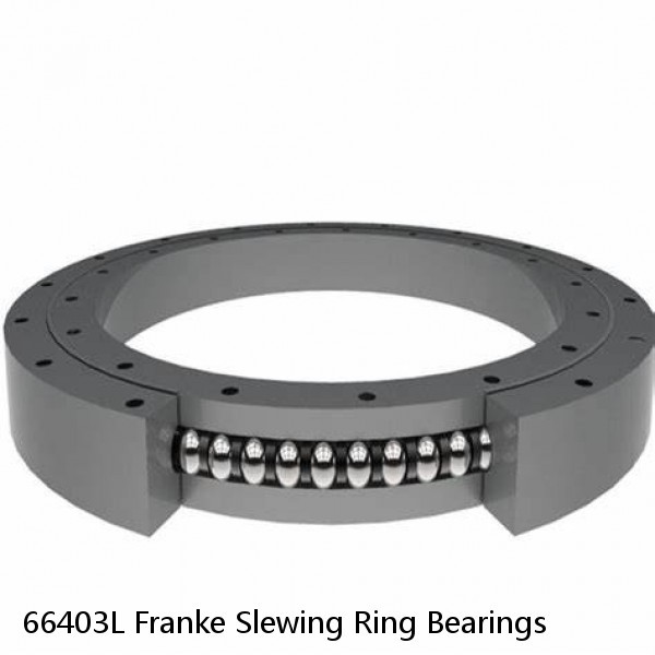 66403L Franke Slewing Ring Bearings