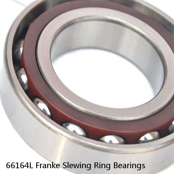 66164L Franke Slewing Ring Bearings