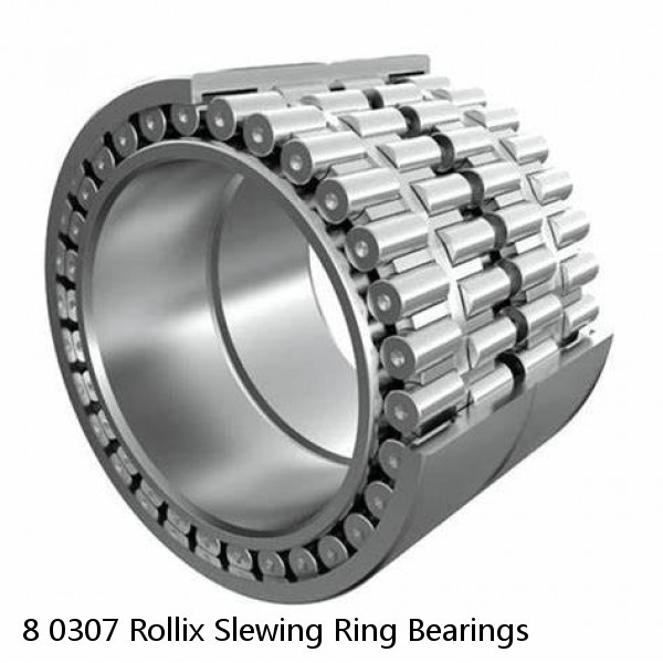 8 0307 Rollix Slewing Ring Bearings