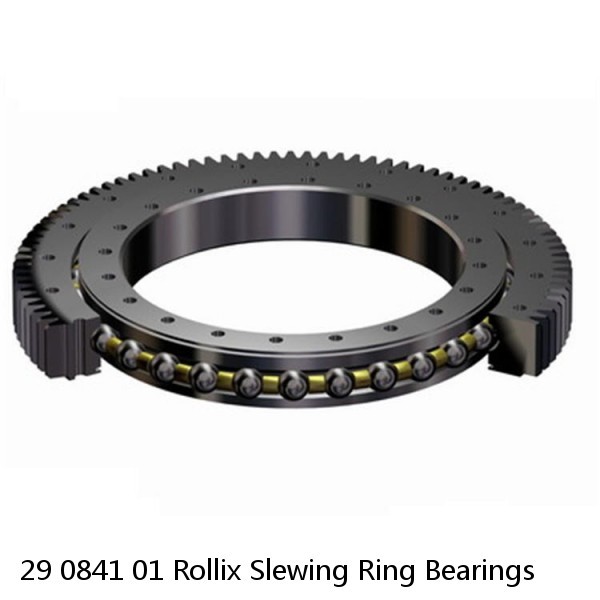 29 0841 01 Rollix Slewing Ring Bearings