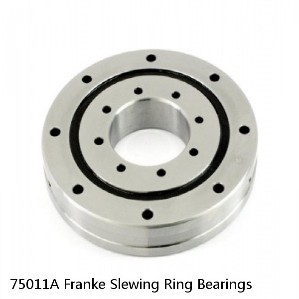 75011A Franke Slewing Ring Bearings