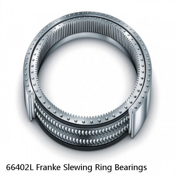 66402L Franke Slewing Ring Bearings