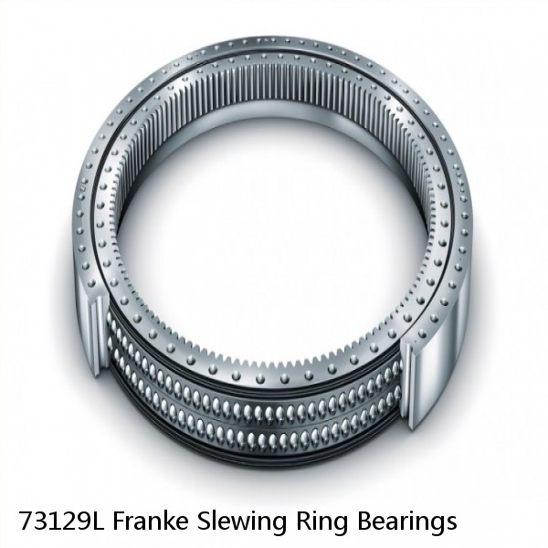 73129L Franke Slewing Ring Bearings