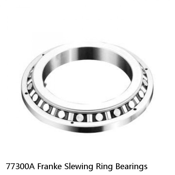 77300A Franke Slewing Ring Bearings