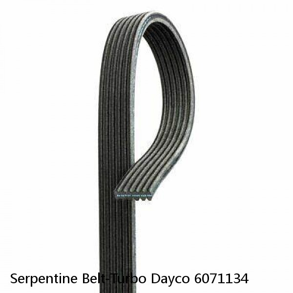 Serpentine Belt-Turbo Dayco 6071134