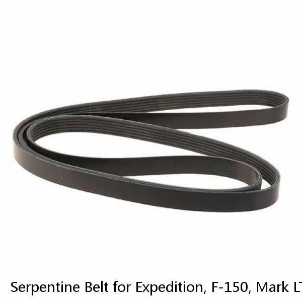 Serpentine Belt for Expedition, F-150, Mark LT, Navigator Dayco Poly rib 5061030