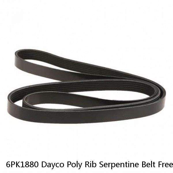 6PK1880 Dayco Poly Rib Serpentine Belt Free Shipping Free Returns 5060740