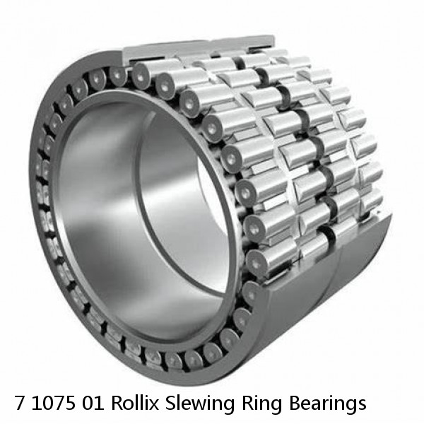 7 1075 01 Rollix Slewing Ring Bearings