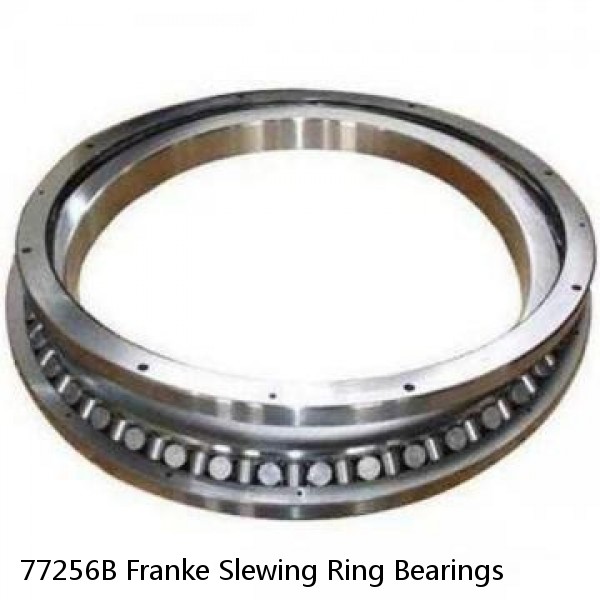 77256B Franke Slewing Ring Bearings