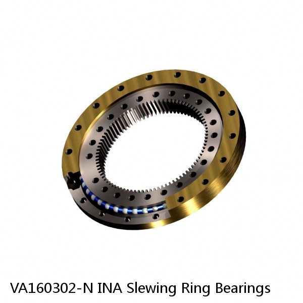 VA160302-N INA Slewing Ring Bearings