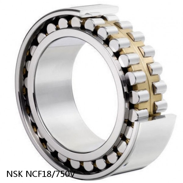 NCF18/750V NSK CYLINDRICAL ROLLER BEARING