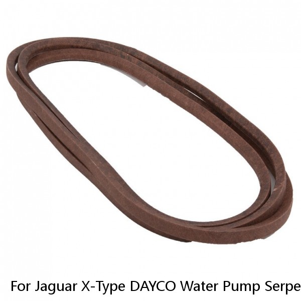 For Jaguar X-Type DAYCO Water Pump Serpentine Belt 2.5L 3.0L V6 2002-2008 1w