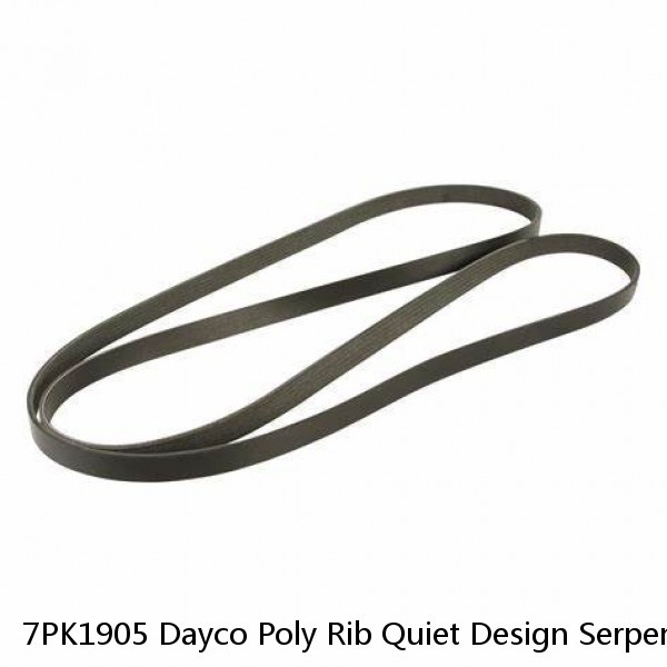 7PK1905 Dayco Poly Rib Quiet Design Serpentine Belt Free Shipping Free Returns