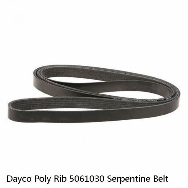 Dayco Poly Rib 5061030 Serpentine Belt