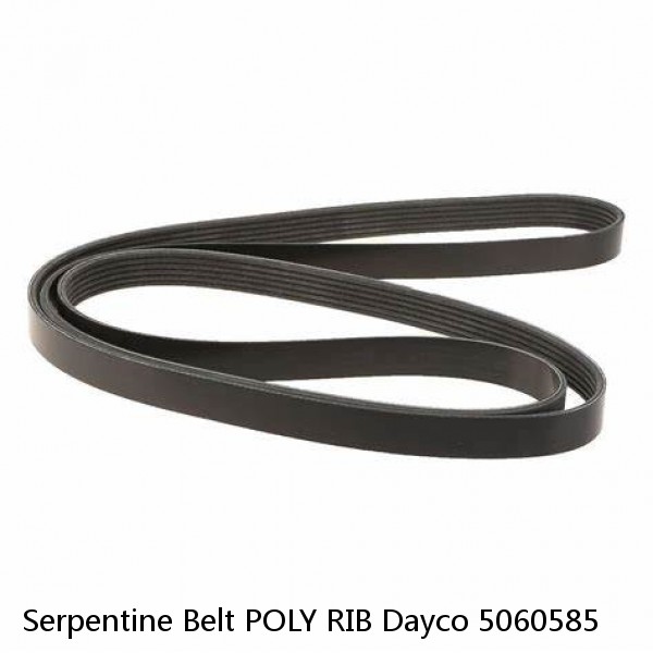 Serpentine Belt POLY RIB Dayco 5060585