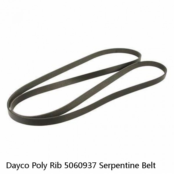 Dayco Poly Rib 5060937 Serpentine Belt